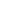 Dragonfly wings