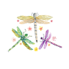 Dragonfly robber