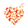 Coeur de papillons