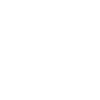Painter