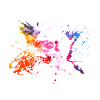 Couleurs splash crâne