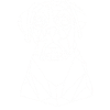 Cool dog