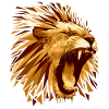 Lion predator