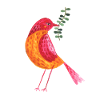ein bunter Vögel