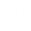 D20