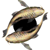 fische stenzeichen