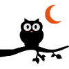 eule_vollmond_3