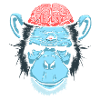 Brain Chimp