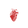 Realistic Heart