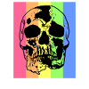 Retro bunter Totenkopf