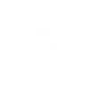 Armée fédérale en blanc