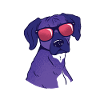 Chien Rhodesian Ridgeback