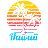Hawaii USA palm beach