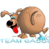 Équipe Gassi
