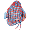 Diskus