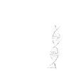 bicycle dna