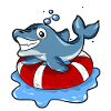Dolphin Swimming Swimmer Lifebuoy Gift