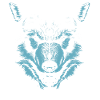 Wolf Head Animal