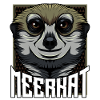 Suricate visage Amour des animaux
