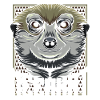 Suricate