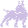 Bull Terrier cn_single_1c_4dark