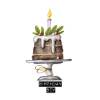 Birthday boy