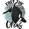Orca Wal