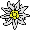 Edelweiss - - Wiesn -