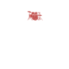 Drums