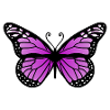 Papillon violet
