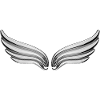 wings