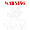 Bearded Dragon