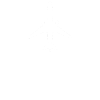 Pilot
