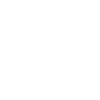 Kung Fu Mantis