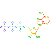 Adenosine triphosphate - ATP - Rainbow