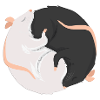Rats gift