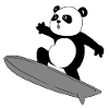 Panda surfer