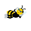 Cool bee