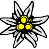 Edelweiss