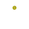 It's Time to Disco