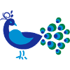 Pfau
