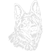 572 Deutscher Schäferhund