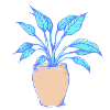 Single-leaf plant