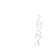 swim DNA