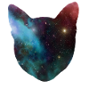 space cat space cat gift