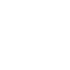 Birds white