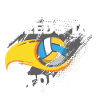 Volley-ball