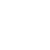 Burning house