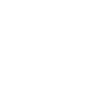 SWAT lettering