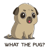 Pug Life Pug